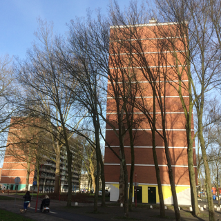 Vooraanzicht Dirc van de Doortoge en Goeswijn van der Poel